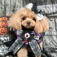 ☆ハロウィンチョーカー単品☆・赤のビジュー・ハンドメイド ㊸