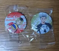 ハイキュー!! 缶バッジ 2個セット
