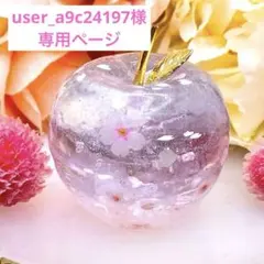 user_a9c24197様 リクエスト 2点 まとめ商品