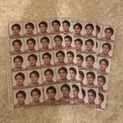 金指一世　Myojo デタカ　100枚セット