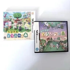 3DS とびだせ どうぶつの森　DS おいでよ　どうぶつの森　2本セット