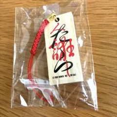 2026年最新】桑田佳祐 キーホルダーの人気アイテム - メルカリ