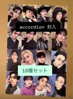 straykids do it accordion 封入トレカ　16種コンプ