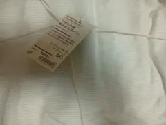 Item thumbnail for item 160dd920-c587-40f0-bb30-85d7a5f318ea