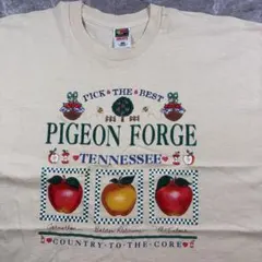 90s FRUIT OF THE LOOM Tシャツ USA製 シングルステッチ