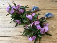 よっかんようかん様 リクエスト 8点 まとめ商品