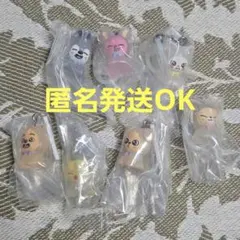 SKZOO　ガチャ　セミコンプリート