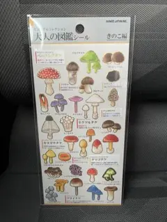 Kiitosh様 リクエスト 2点 まとめ商品