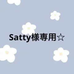 Satty様 リクエスト 2点 まとめ商品