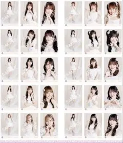 AKB48佐藤綺星 春コンサート2026 ランダムハーフサイズ生写真コンプ
