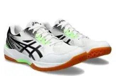 asics GEL-TASK3 ハンドボールシューズ