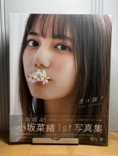 日向坂46 写真集+DASADAクリアファイルセット