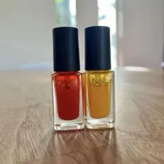 NAIL HOLIC ネイルカラー 2本セットのサムネイル
