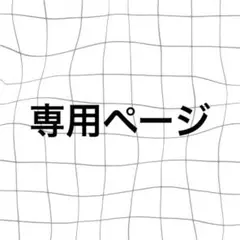 専用ページ