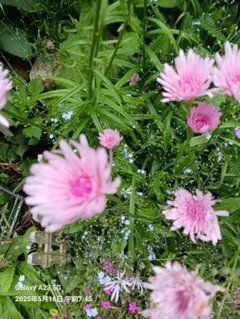 マリン様 リクエスト 2点 まとめ商品