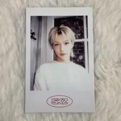 Stray Kids シーグリ 2021 フィリックス ポラロイド トレカ - メルカリ