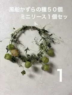 風船かずらミニリース１個と 種５０個以上　セット