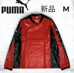 Item thumbnail for item 62f44866-67de-4ec8-bfae-81cb0bdb1b75