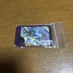 ポケモンフレンダ　ベストタッグ3弾　リザードンX