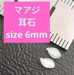 マアジ 耳石 お守りパワーストーン天然石宝石開運受験生物学 F69