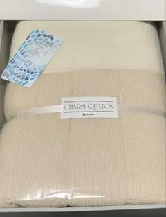 Item thumbnail for item 4baa6ac1-e6ca-4b3d-9b1b-47a717af210e