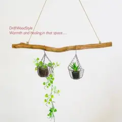 Item thumbnail for item 9afd3306-3e88-48dd-9550-8a8dcc81f5eb