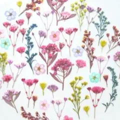 押し花素材 ： 小花（5種類）♡ 763 押花 花材 レジン パーツ ネイル