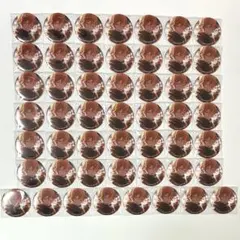 プロセカ グリッター缶バッジ グリ缶 vol. 50B 東雲 彰人 50個