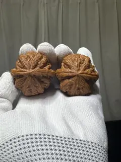 Item thumbnail for item 182d3df0-f883-40f3-8cf2-417ccd0880bd