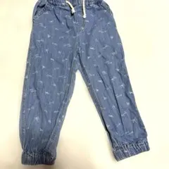 Insect Collection デニムパンツ 昆虫山川ハイキキング　キャンプのサムネイル