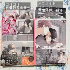 ロスタイムに餞を Home and Away アニメイト コミコミ 小冊子