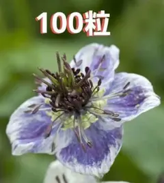 NAOKO様 リクエスト 2点 まとめ商品