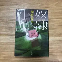 奴隷小説 桐野夏生著