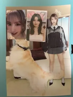 Twice モモ まとめ売り - メルカリ