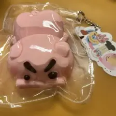 ギンシャリさん シャカシャカスイング ギンシャリフレンズをさがせ 