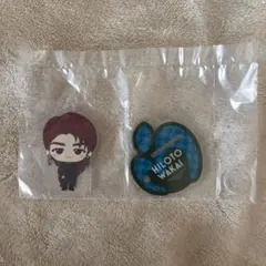 Mrs. GREEN APPLE 若井滉斗 D賞 アクリルペンスタンド