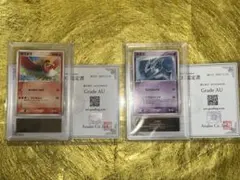 Item thumbnail for item f33e8656-bc02-4c58-9295-5740320af388