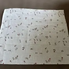 Item thumbnail for item e049eda7-5b15-49ee-9555-d5cf2fea69cc