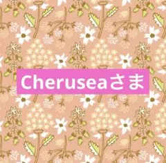 Cheruseaさま専用☆。.:＊・゜