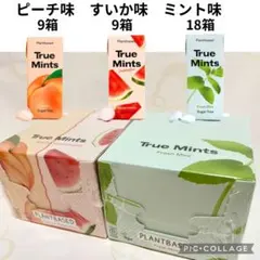 ★破格！TRUE MINTS ミントタブレット ピーチ味 すいか味 口臭ケア