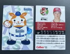Calbee カルビー プロ野球チップス カード 広島 森下 ベイスターズ