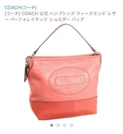 大大値下げ貴重coachレザーバック