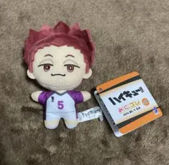 ハイキュー みにコレ miniぬいぐるみ 天童覚