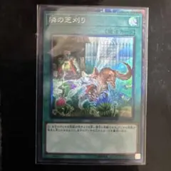 遊戯王　隣の芝刈り コレクターズ