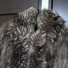 2026年最新】シルバー フォックス 毛皮 コートの人気アイテム - メルカリ