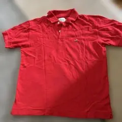 Item thumbnail for item 29deb55a-1fa1-4cbf-a31a-f67fc88decf1