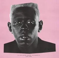 2026年最新】tyler the creator レコードの人気アイテム - メルカリ