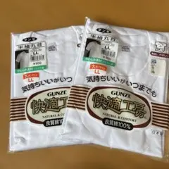 GUNZE 半袖丸首Tシャツ LL 2枚セット