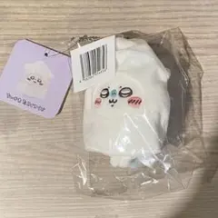 たこイカくじ　モモンガ　D賞