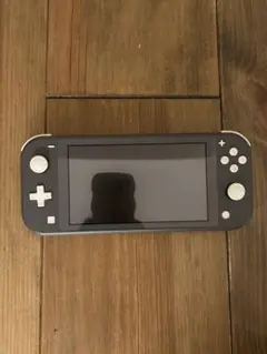 任天堂 Nintendo Switch Lite ジャンク品
